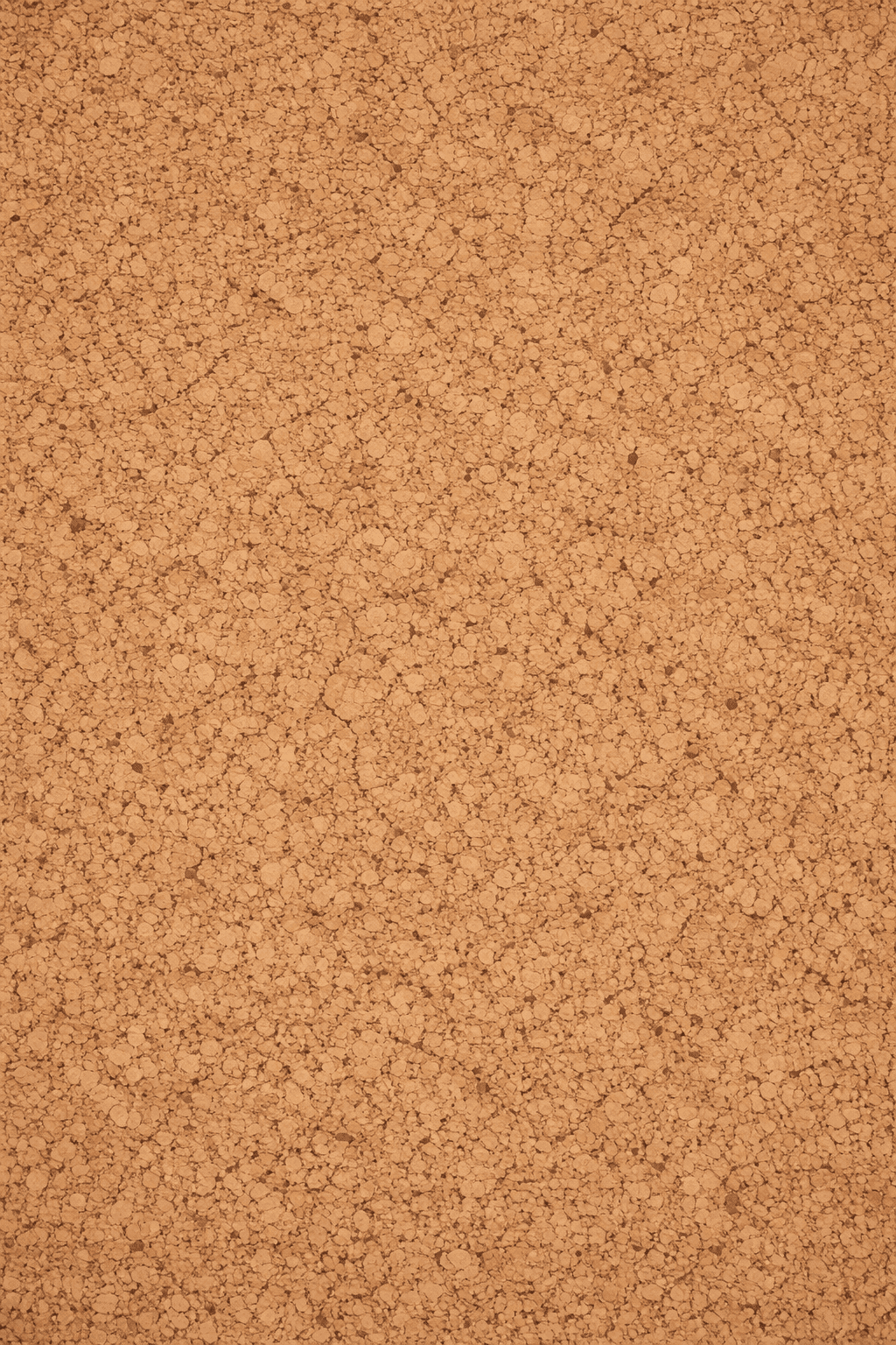 Beige Canvas Surface